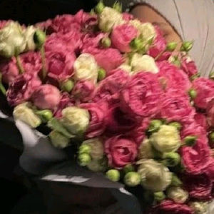 Meet your Posher, Sumay